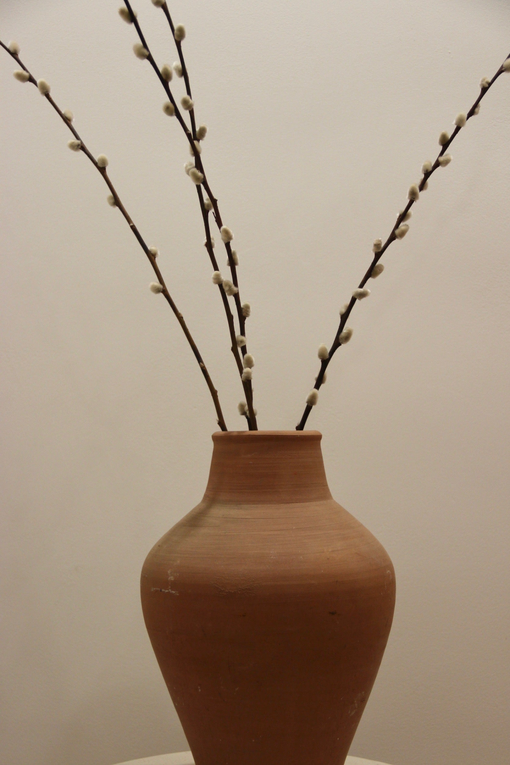 Terracotta Vase